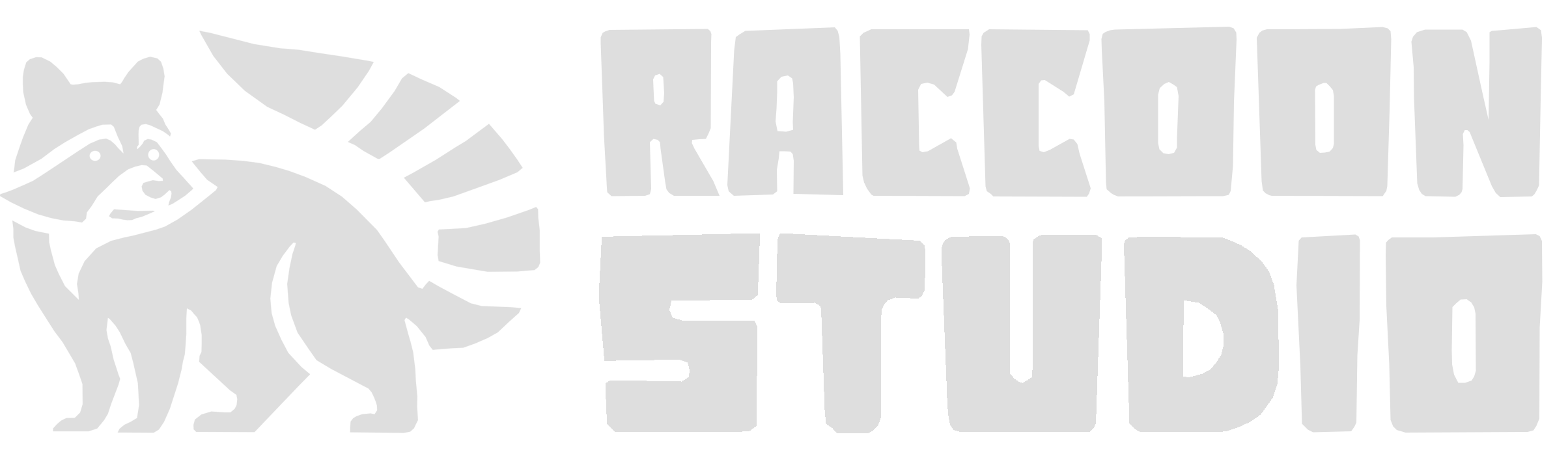 Raccoon Studio